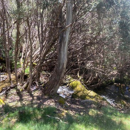 Appartamento Ramshead Creek 3 - Thredbo Esterno foto