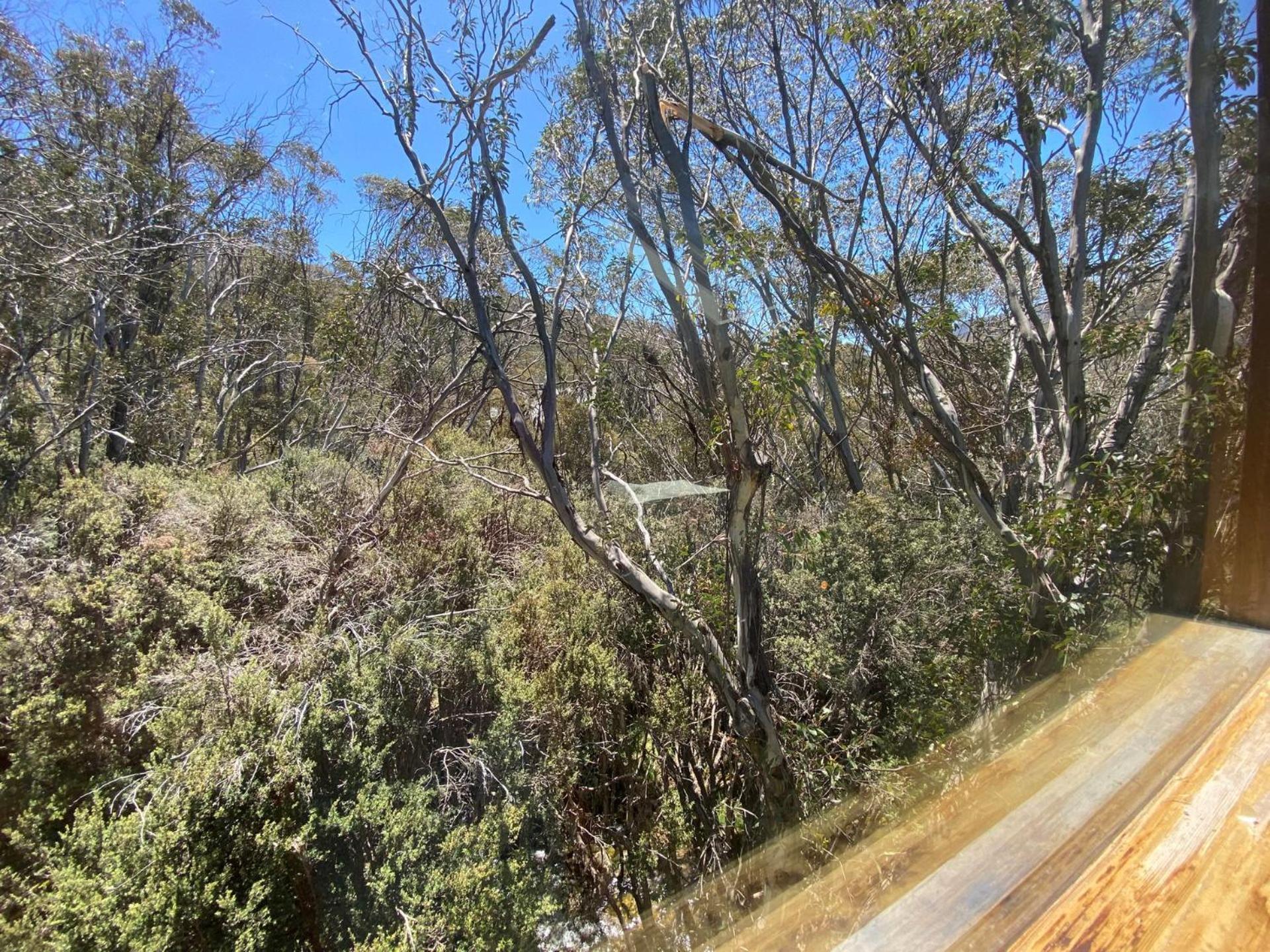Appartamento Ramshead Creek 3 - Thredbo Esterno foto